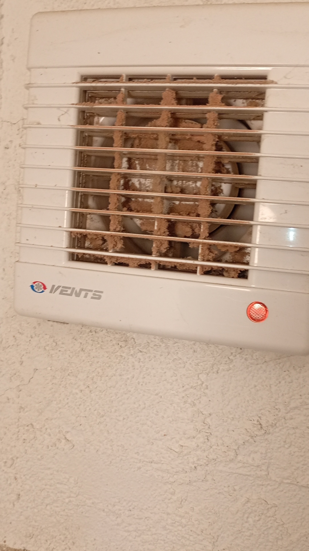 Before photo for Почистване след наематели