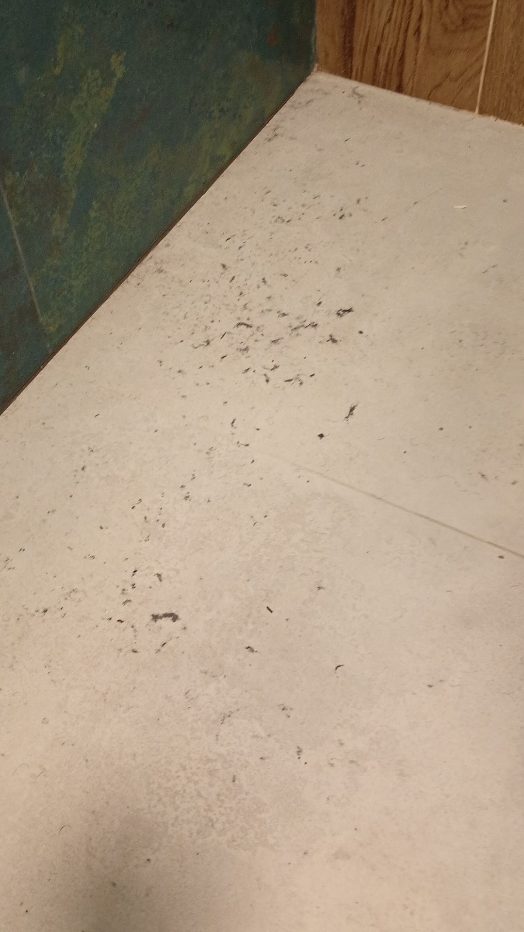 Before photo for Deep Cleaning