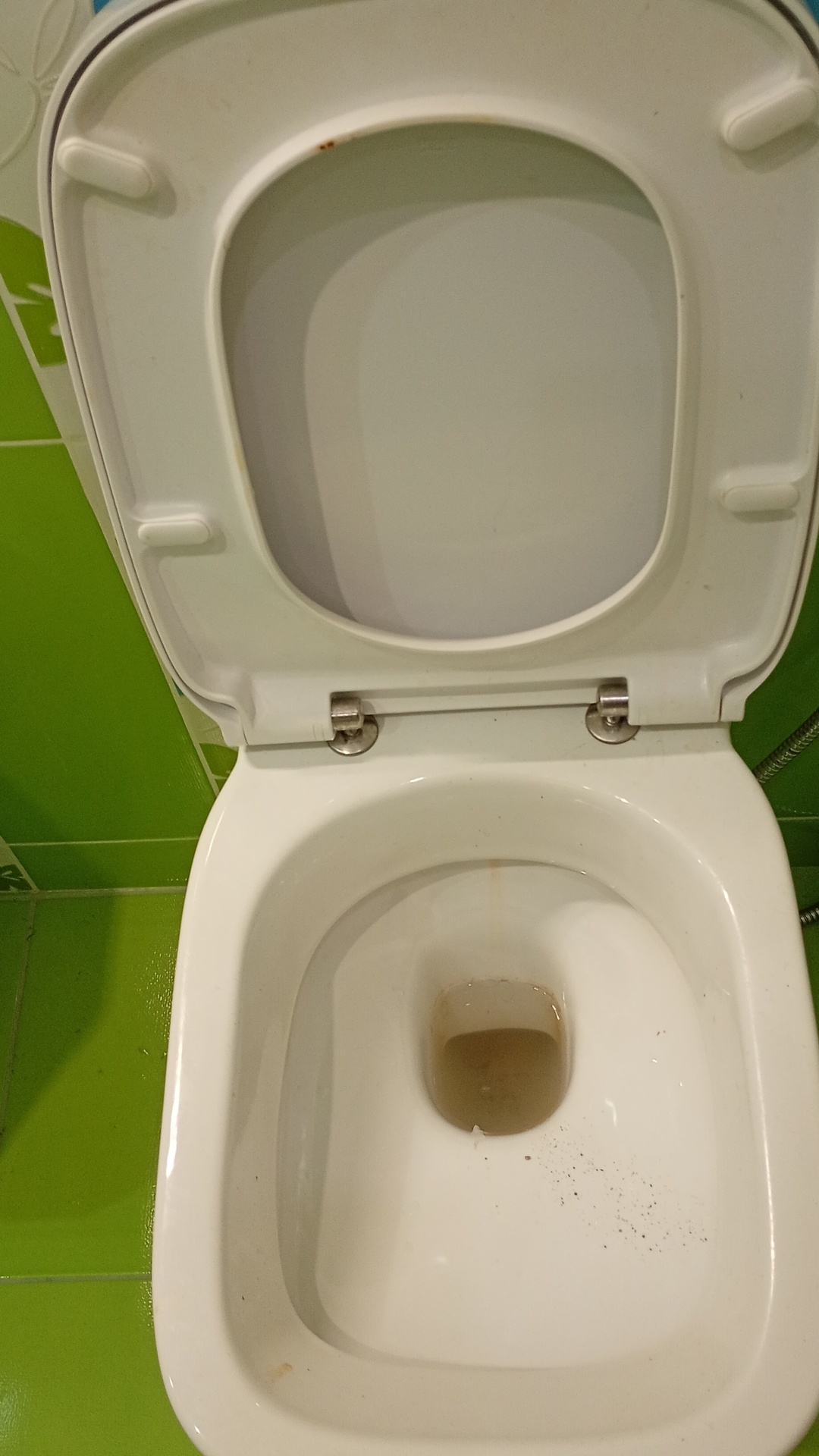 Before photo for Основно почистване