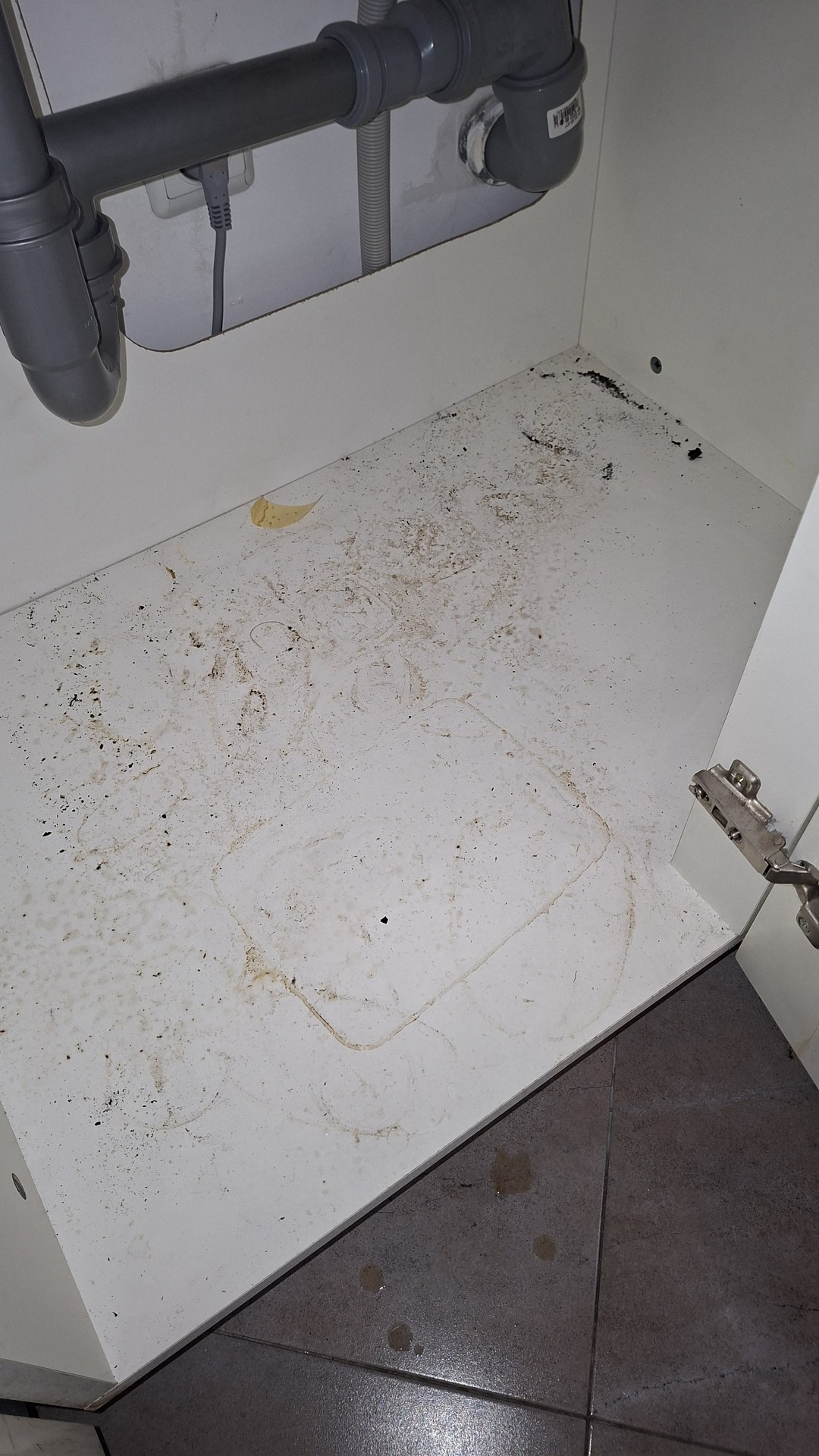 Before photo for Deep Cleaning