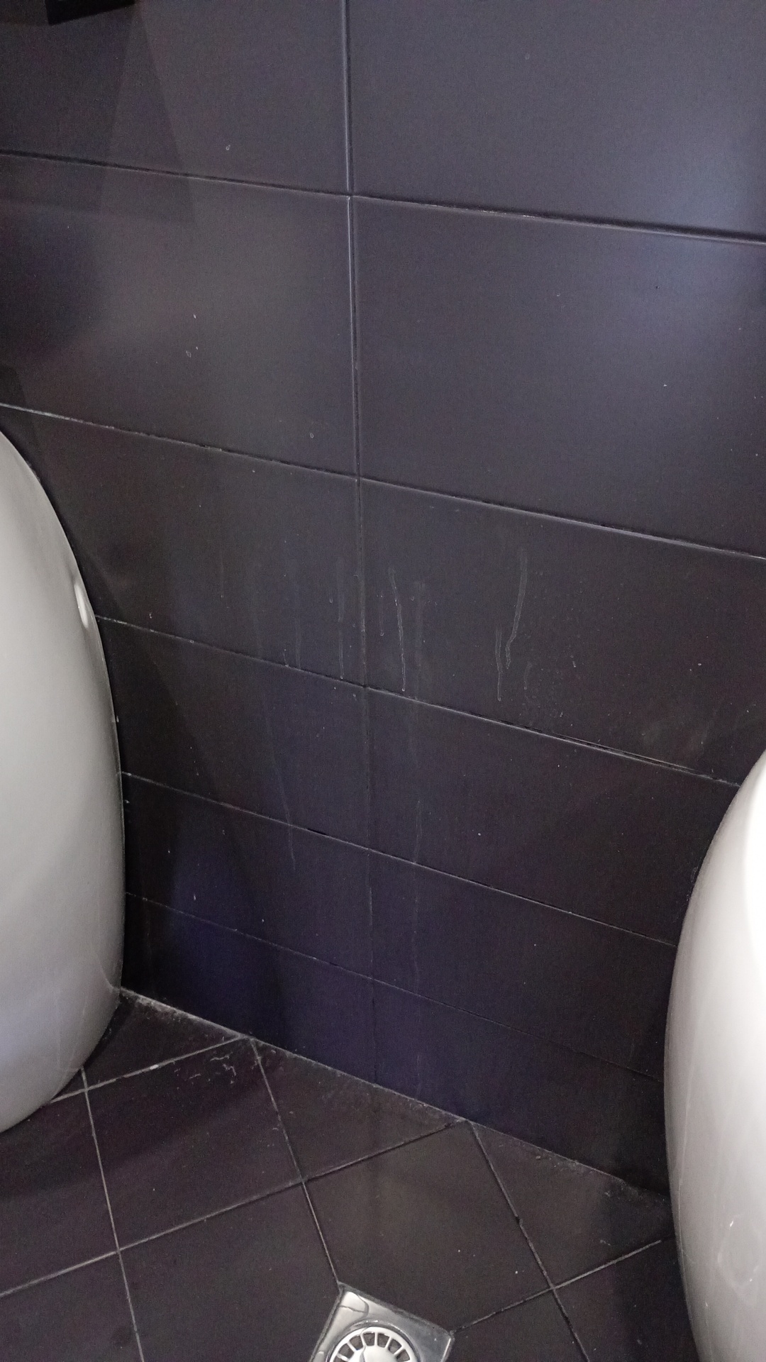 Before photo for Почистване на баня