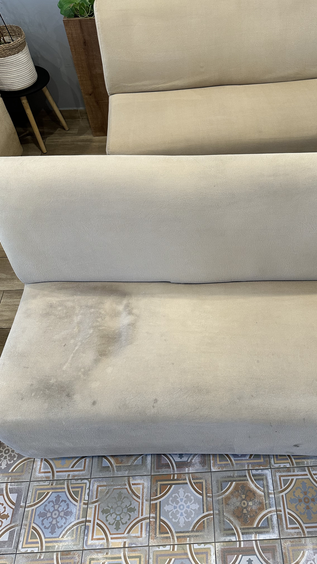 Before photo for Upholstery Cleaning