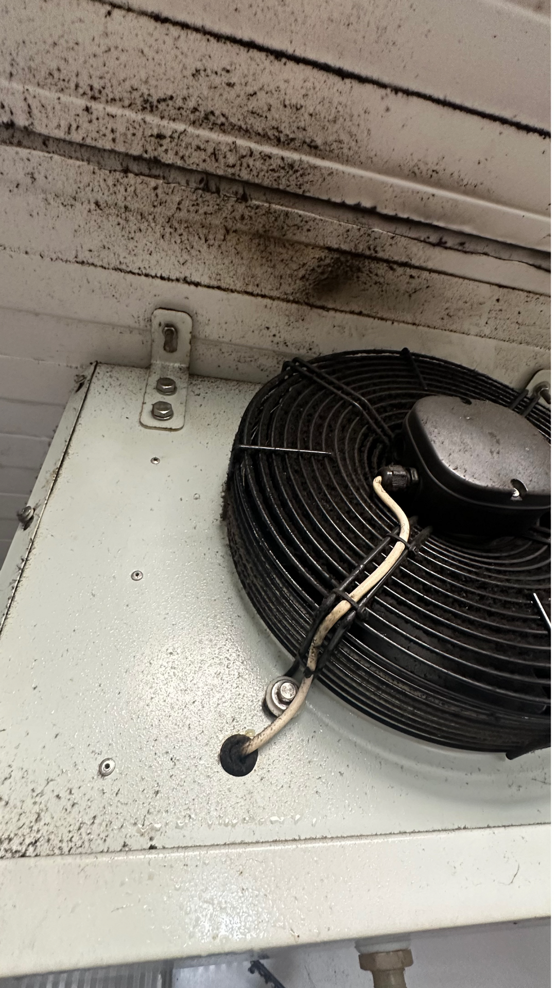 Before photo for Post Construction Cleaning