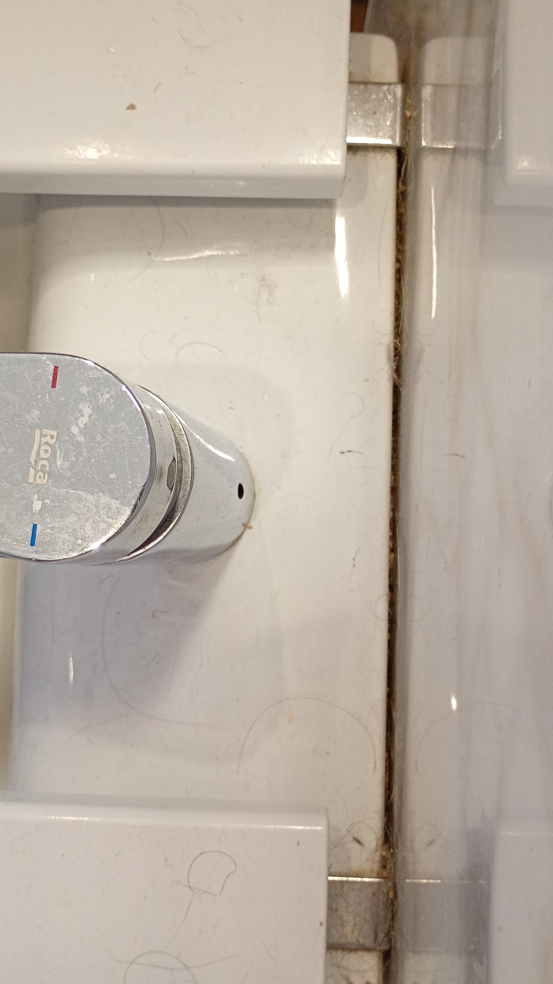 Before photo for Deep Cleaning