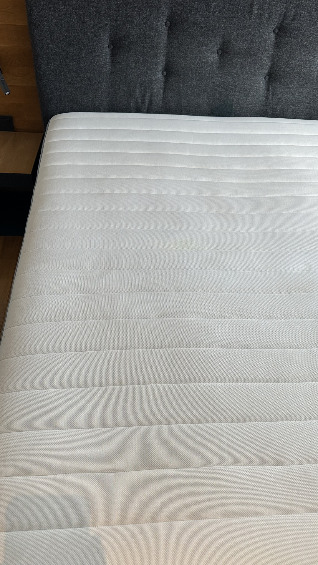 After photo for Upholstery Cleaning