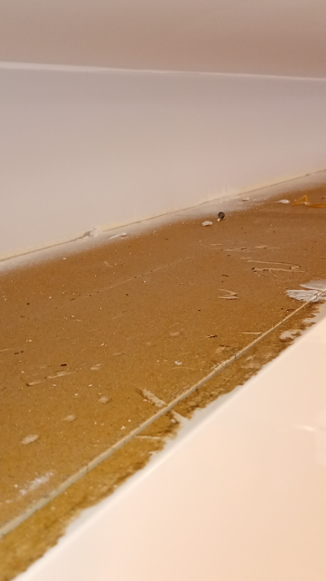 Before photo for Deep Cleaning