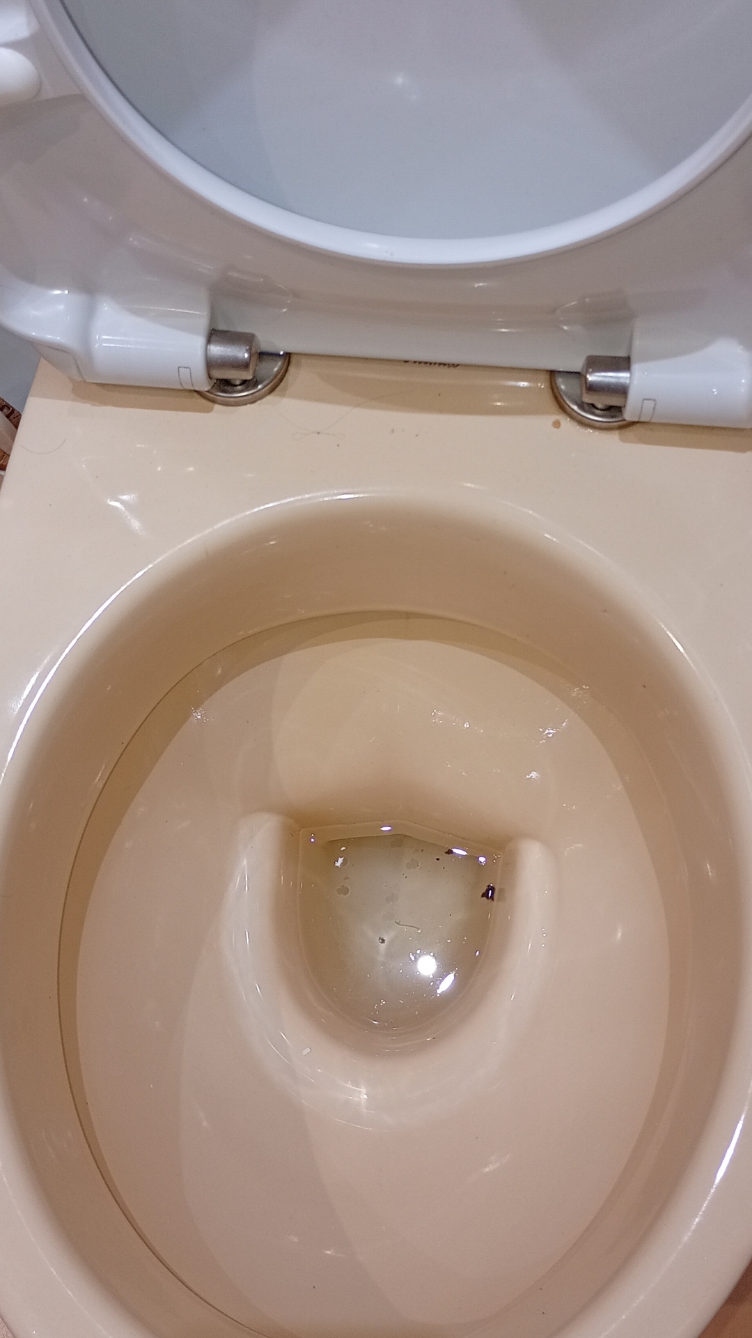 Before photo for Deep Cleaning