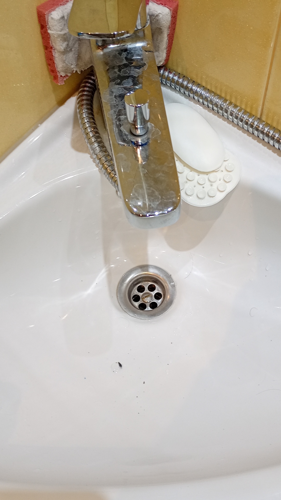 Before photo for Deep Cleaning