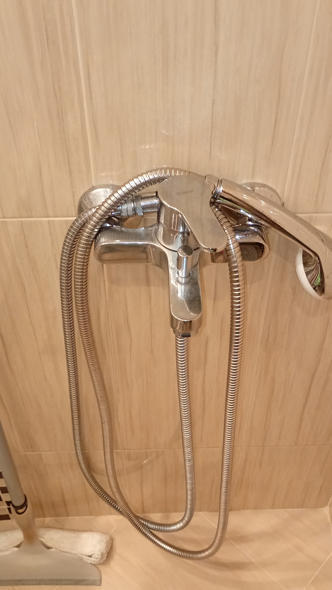 Before photo for Deep Cleaning