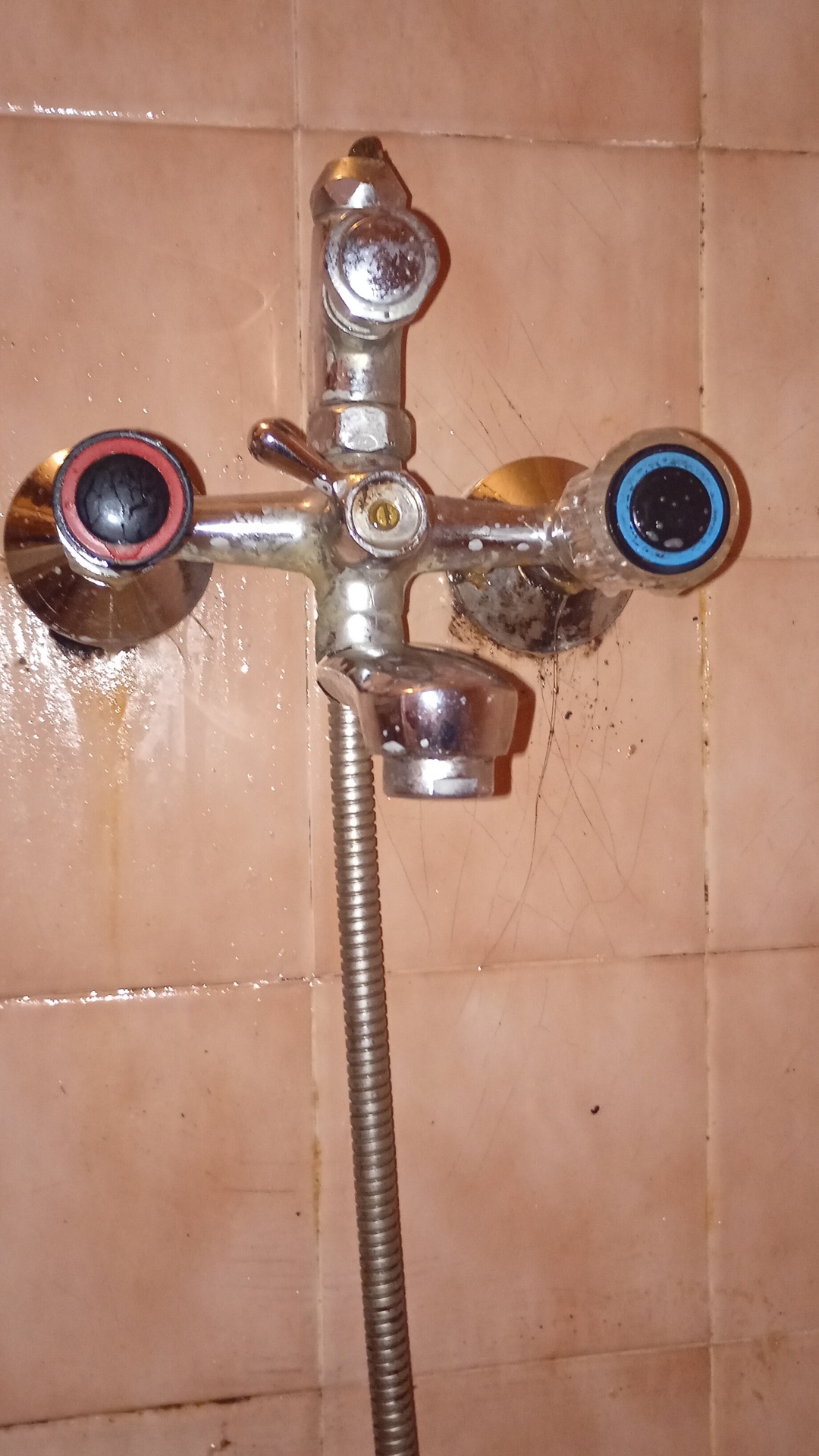 Before photo for Deep Cleaning