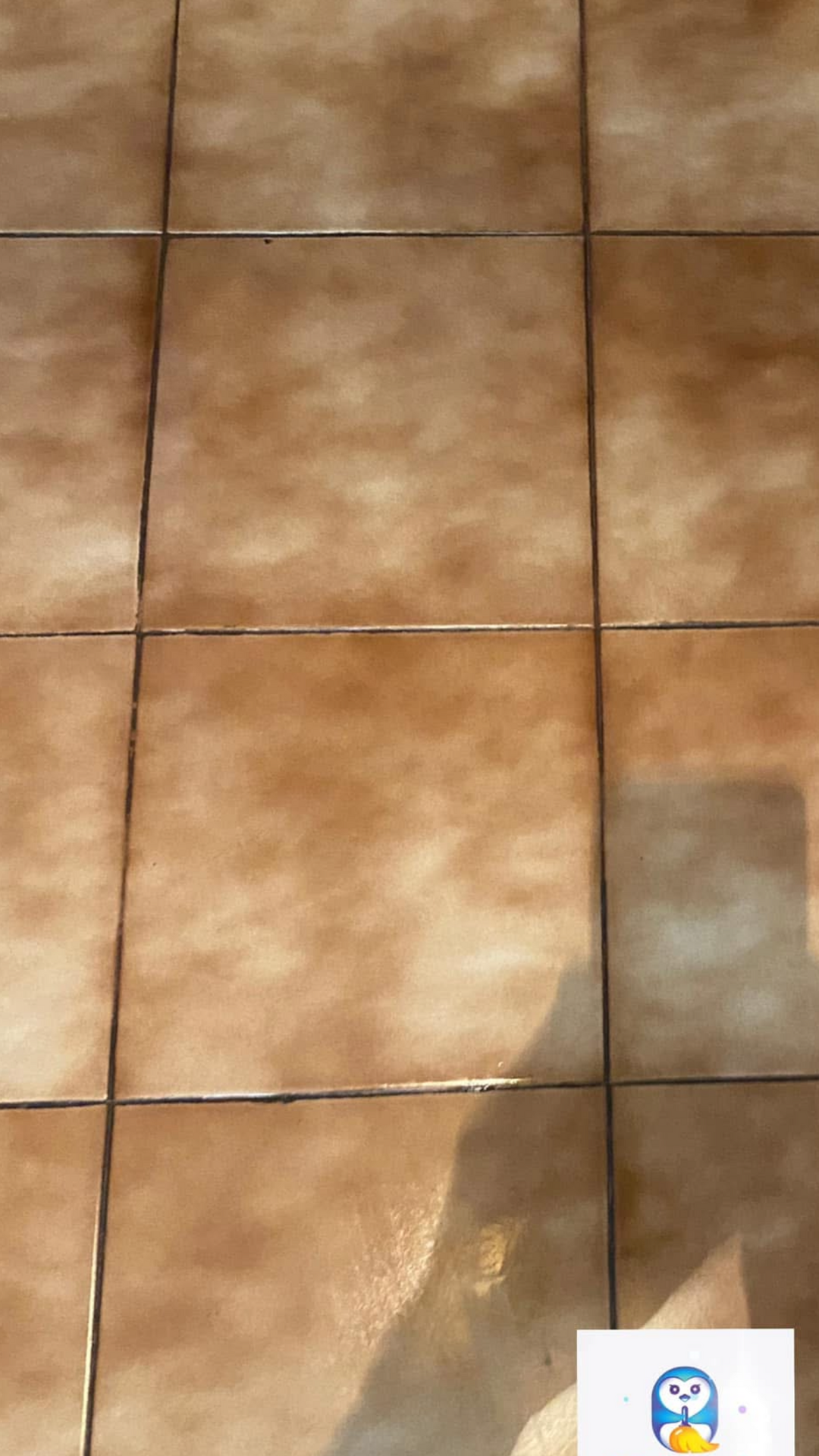 After photo for Почистване след наематели