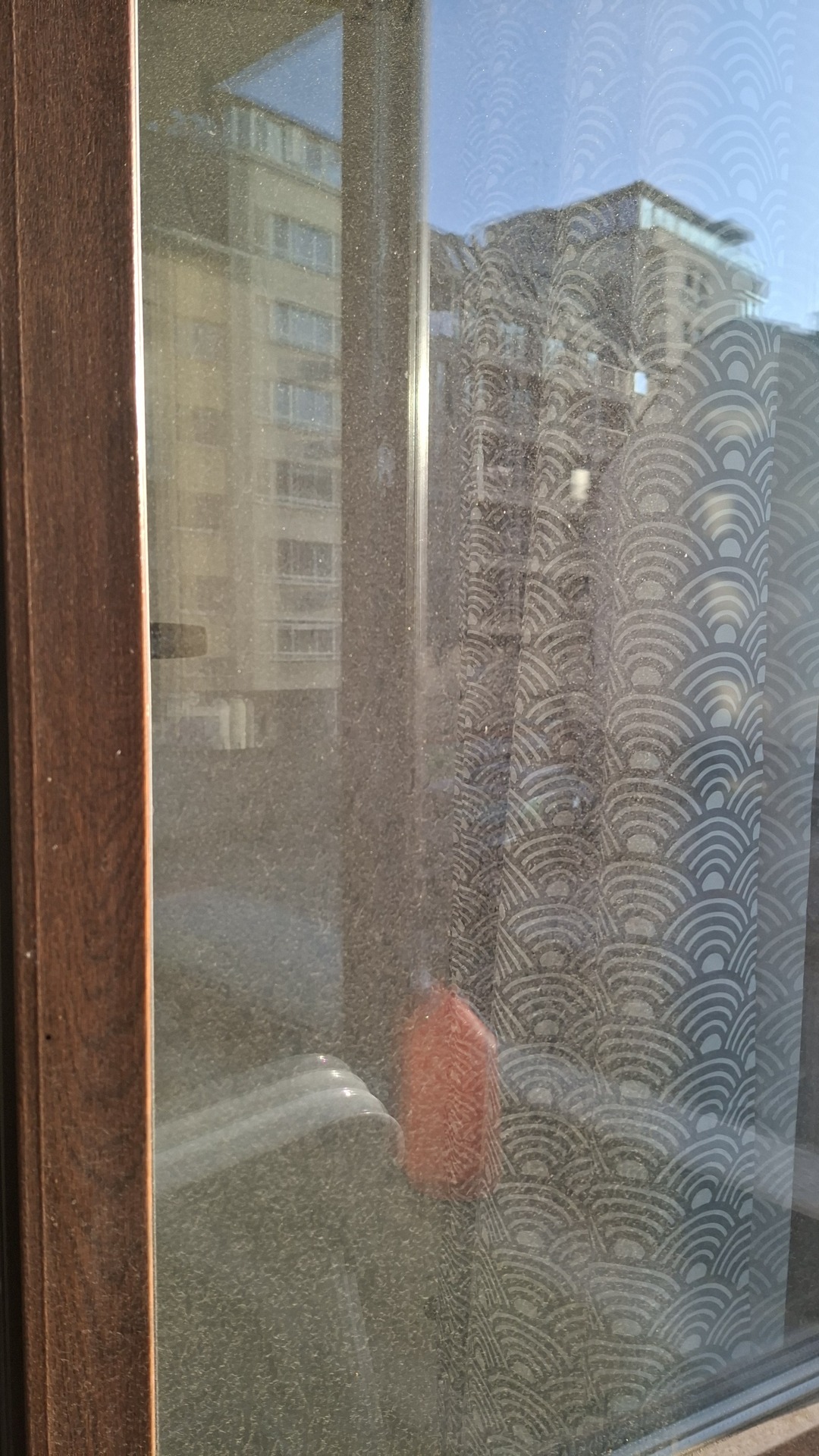 Before photo for Window Cleaning