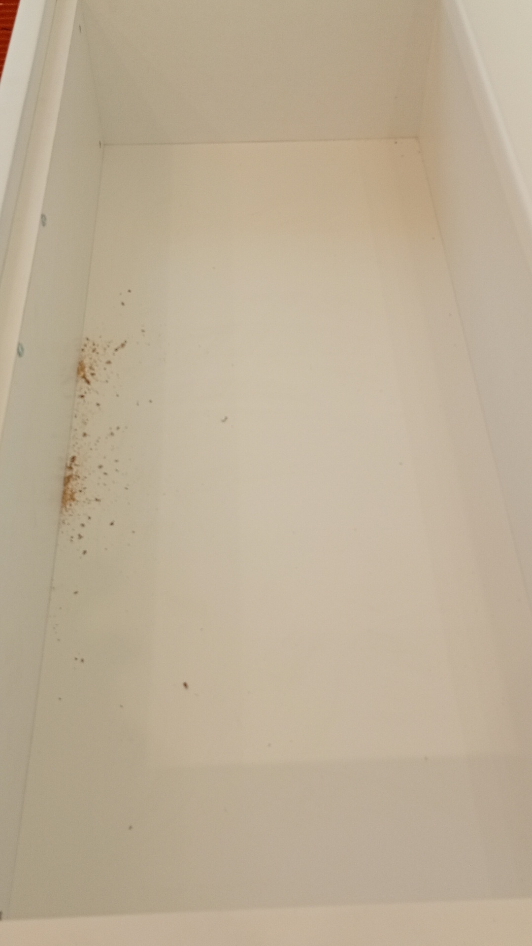 Before photo for Почистване след ремонт