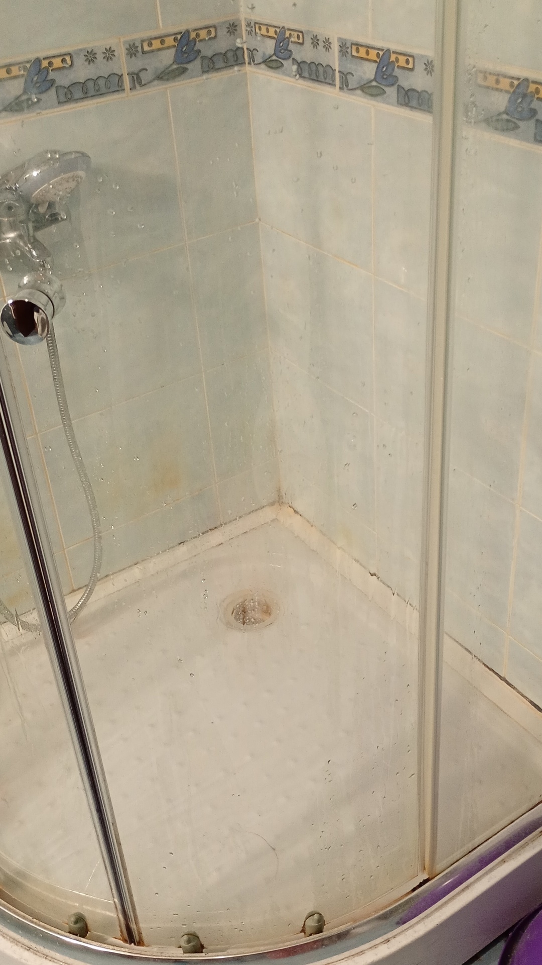 Before photo for Deep Cleaning