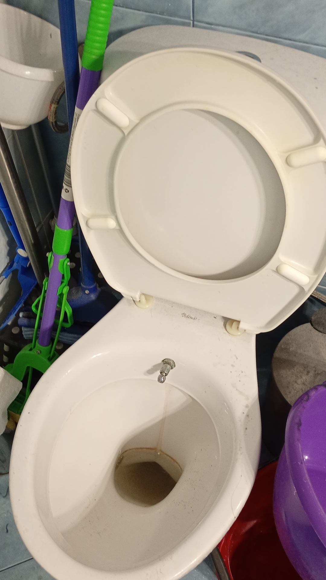 Before photo for Deep Cleaning