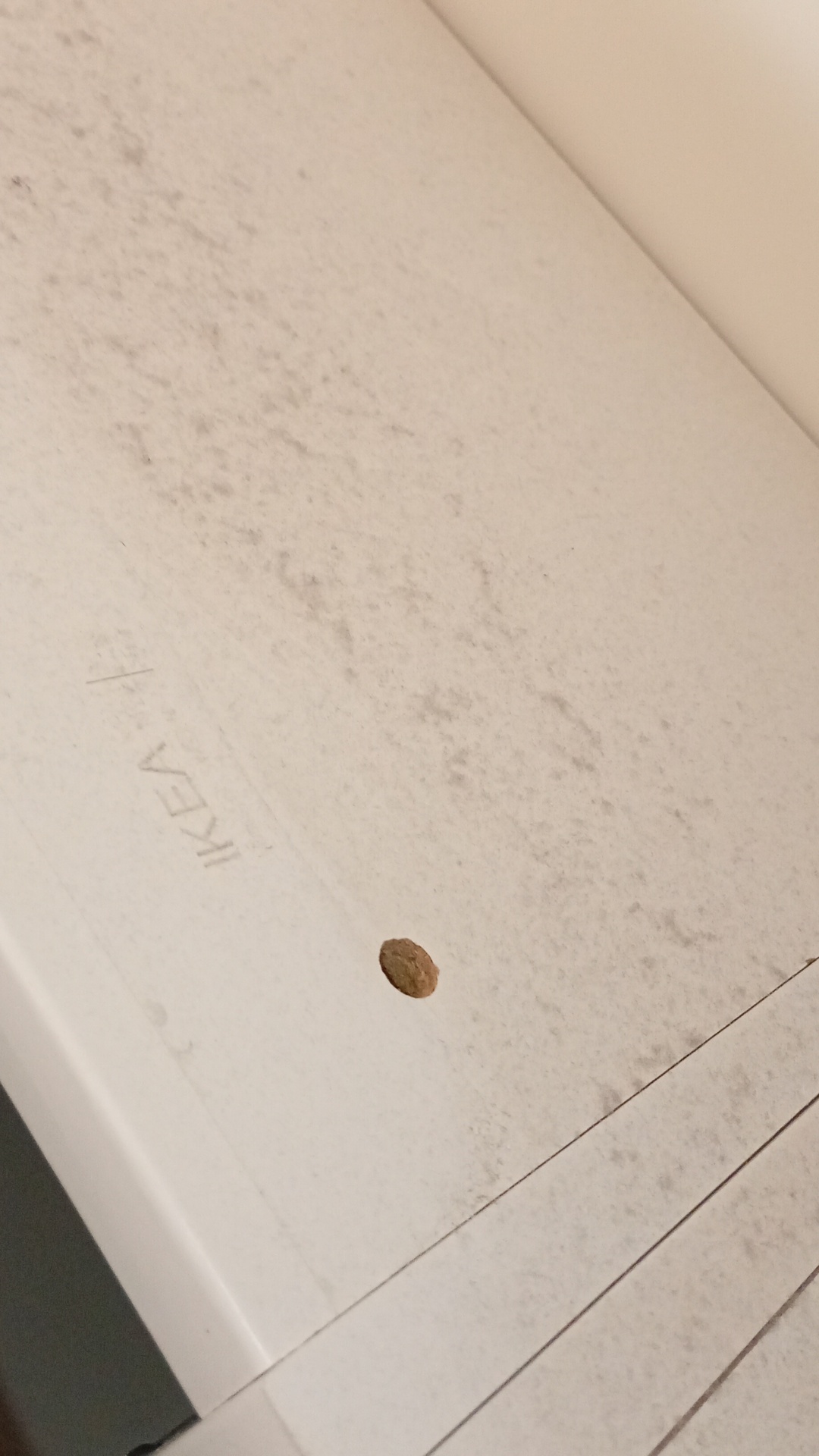 Before photo for Deep Cleaning