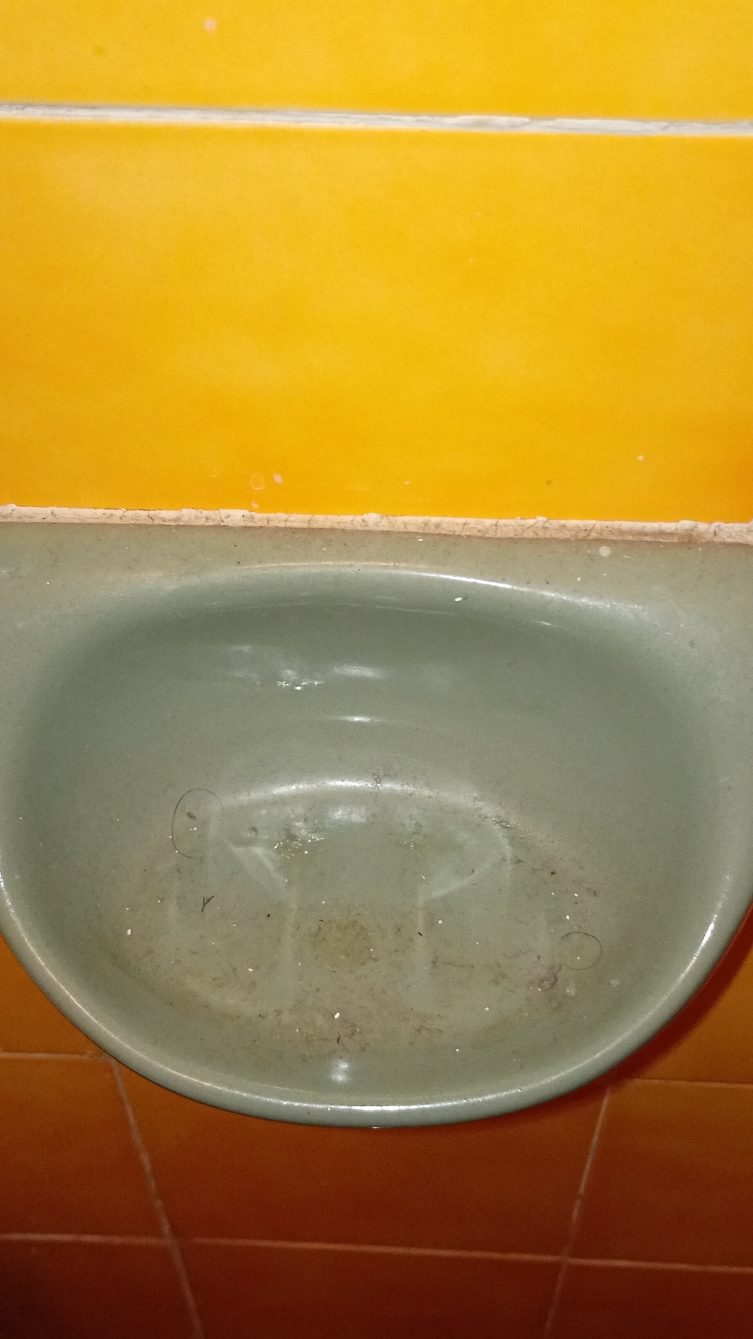 Before photo for Deep Cleaning