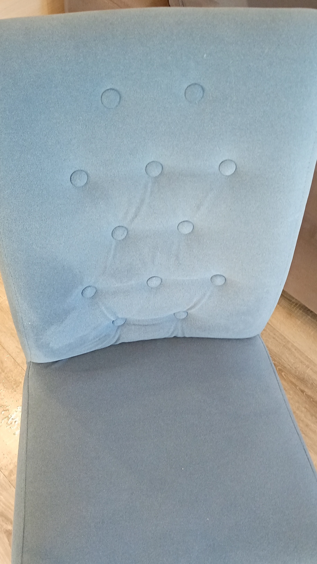 Before photo for Upholstery Cleaning