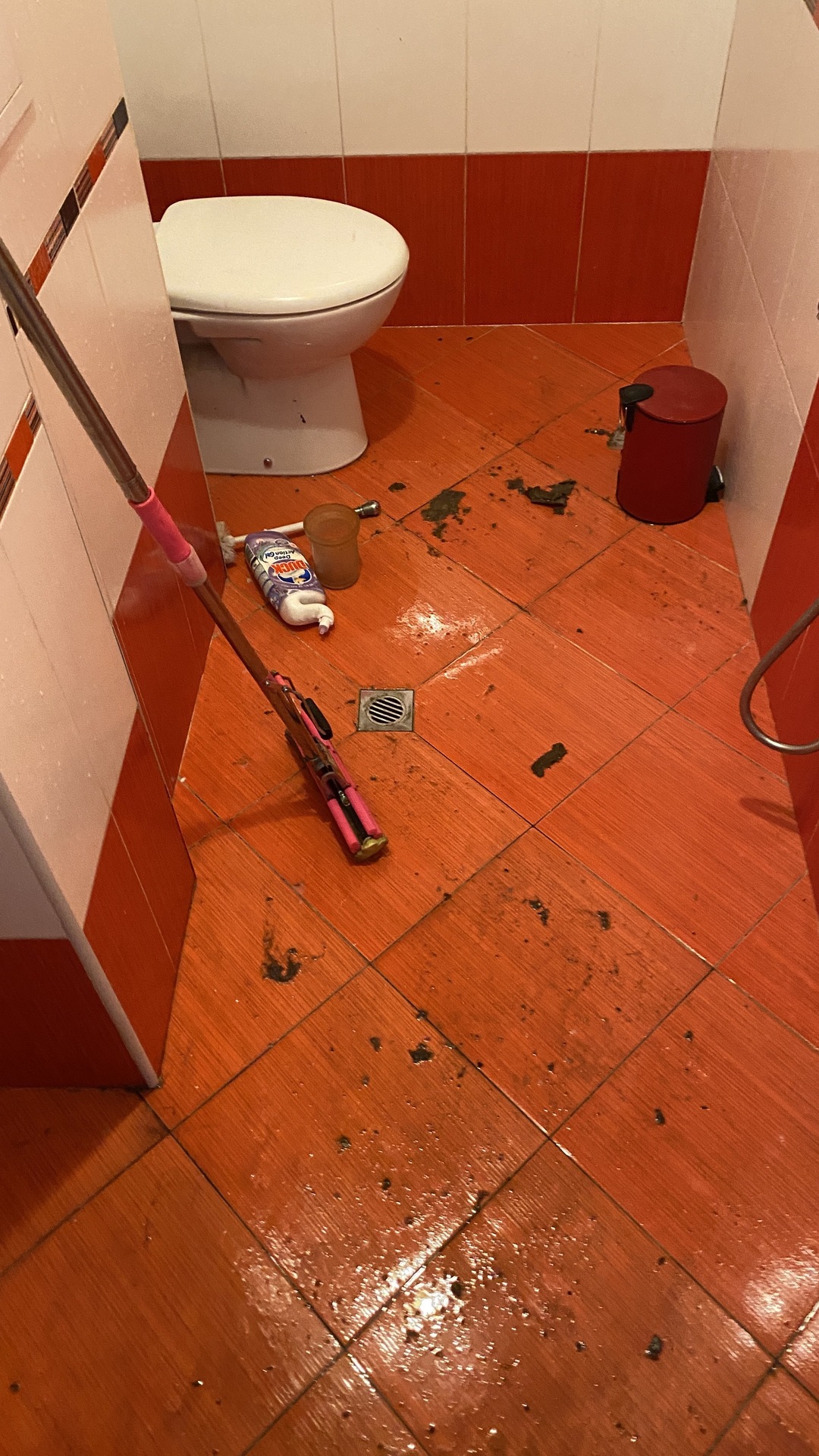 Before photo for Deep Cleaning