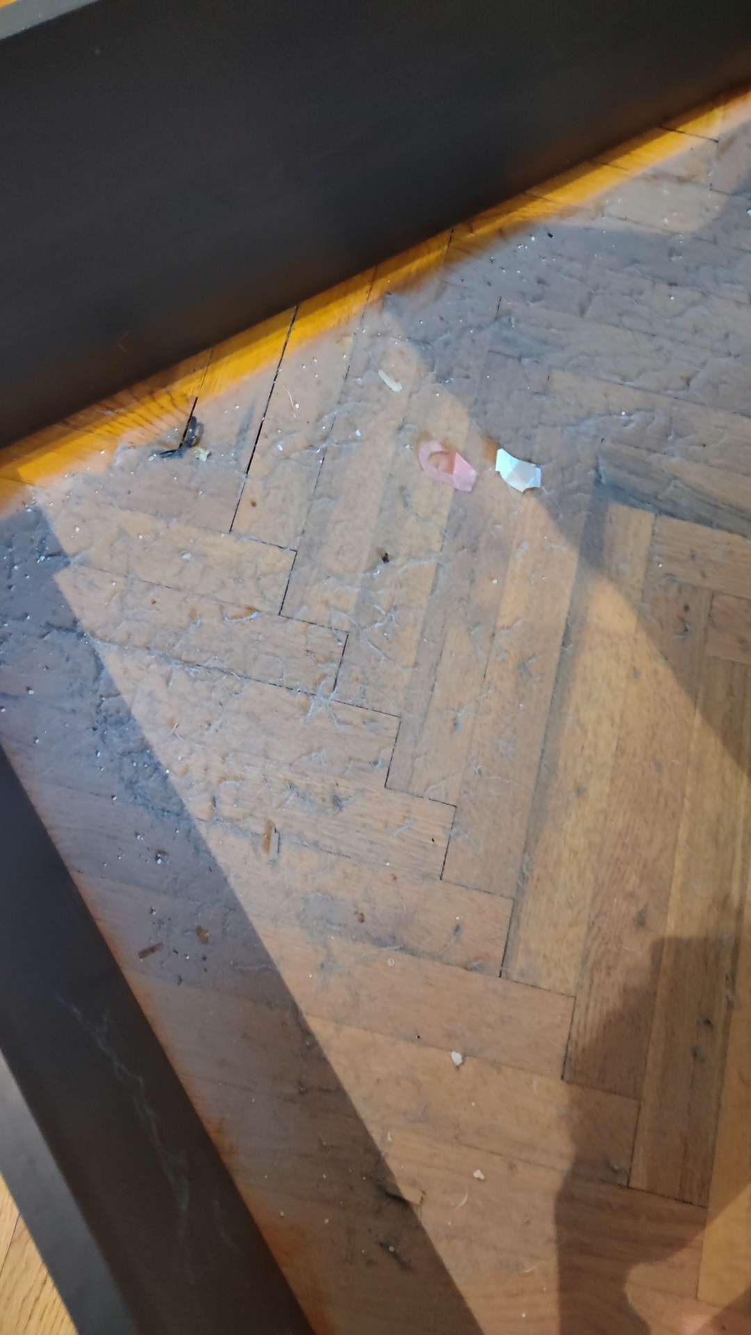 Before photo for Основно почистване